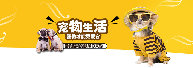 2005年澳门天天开好